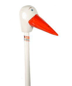 Storch