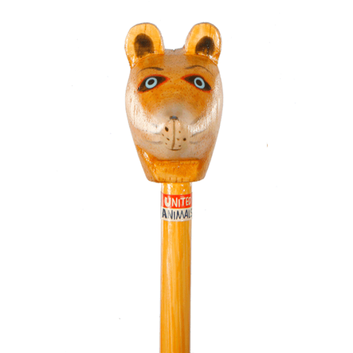 Waschbär