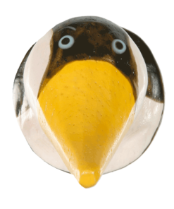 Pinguin