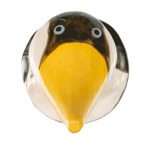 Pinguin