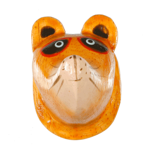 Waschbär
